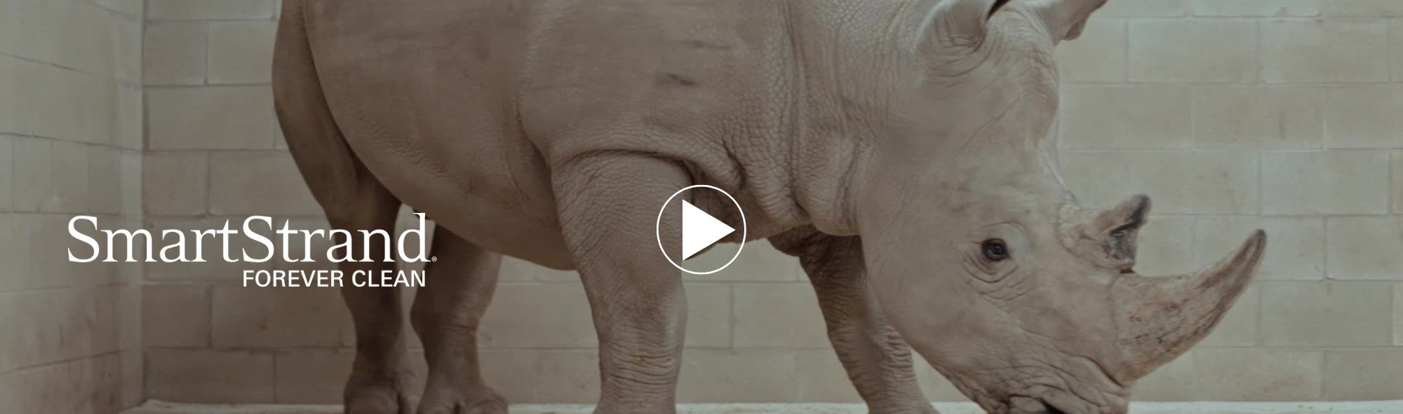 Mother and daughter sitting on SmartStrand carpet flooring with a golden retriever dog