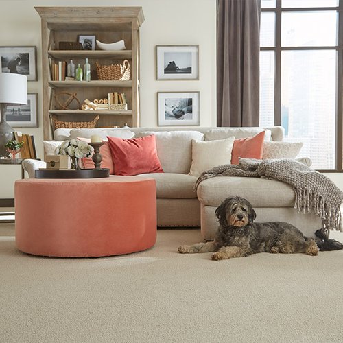 Flooring projects at Byron's Flooring in Tampa, FL